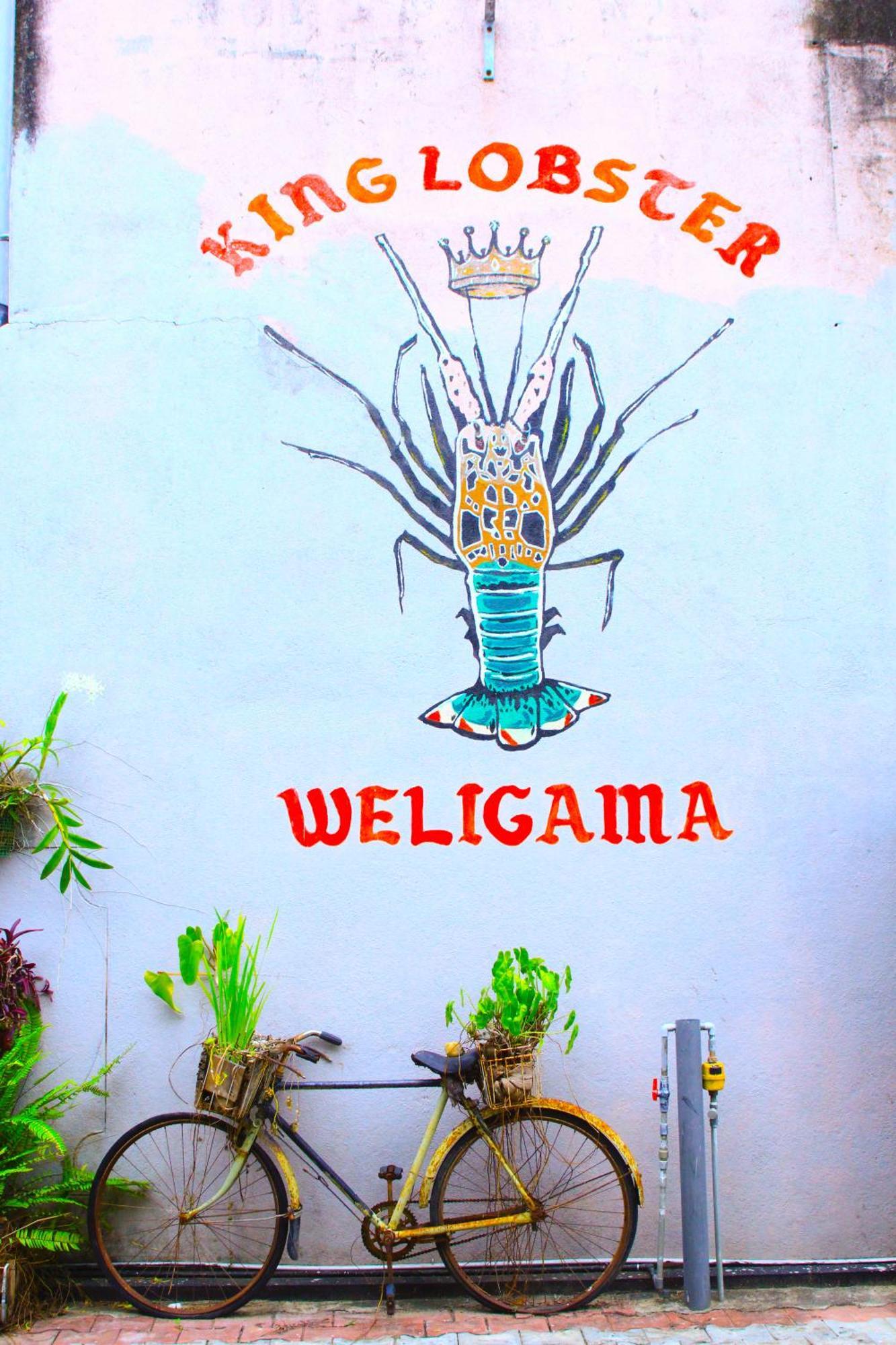 7Elements - Boutique Hotel & Restaurant Weligama Εξωτερικό φωτογραφία